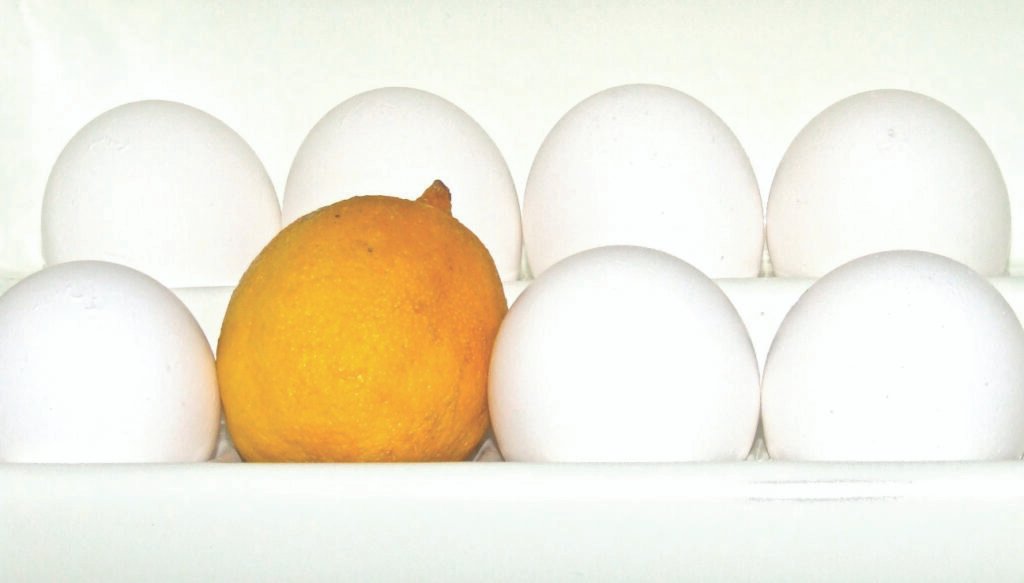 photo of lemon in egg drawer